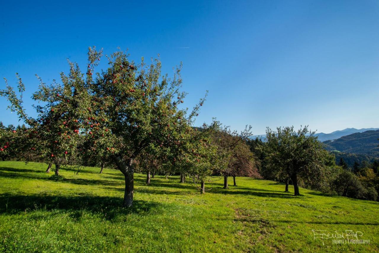 Apartma Lesjak - Pobeg V Naravo Mozirje Exteriér fotografie
