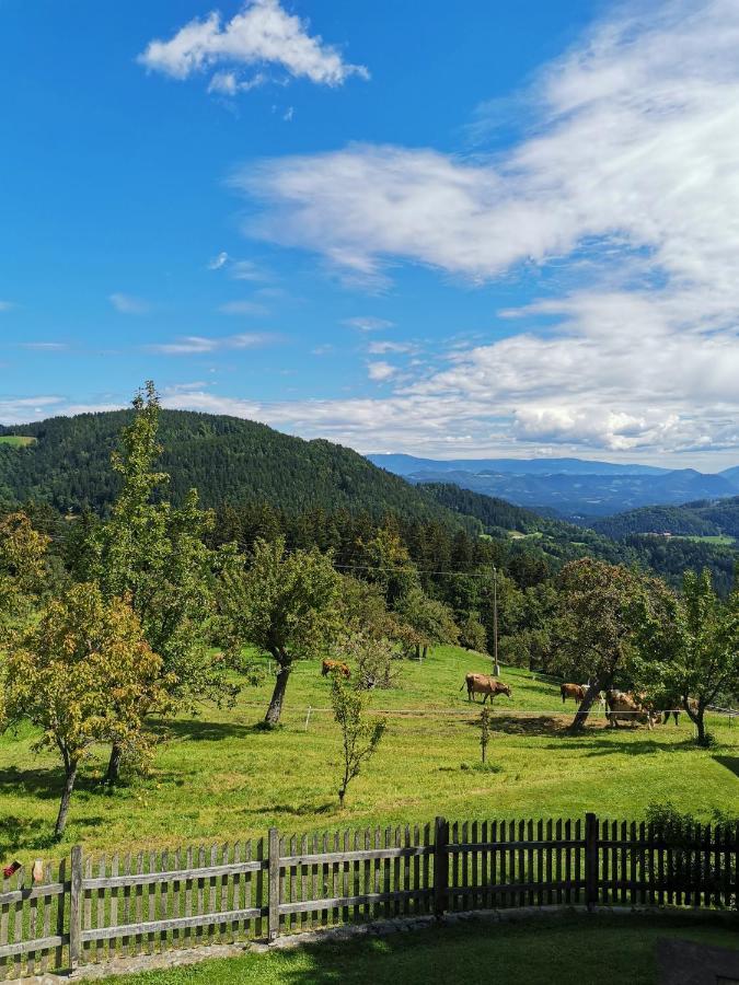 Apartma Lesjak - Pobeg V Naravo Mozirje Exteriér fotografie